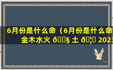 6月份是什么命（6月份是什么命金木水火 🐧 土 🦈 2023年）